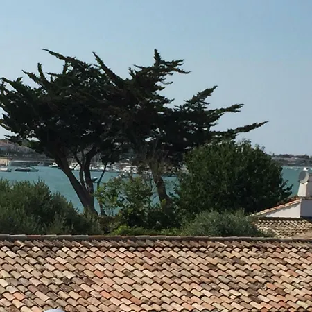 Les Mouettes *